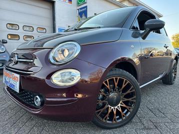 Cabrio 500C 1.2 Colleczione, Limited Edition, TopStaat, Achat, Euro 6, Entreprise, Boîte manuelle