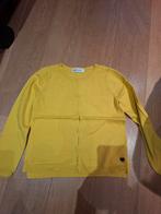 gele cardigan H&M mt 122-128 in zeer goede staat, Gebruikt, Meisje, Trui of Vest, H&M