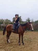 Zeer braaf recreatie wandelpaard, Dieren en Toebehoren, Paarden, Ruin