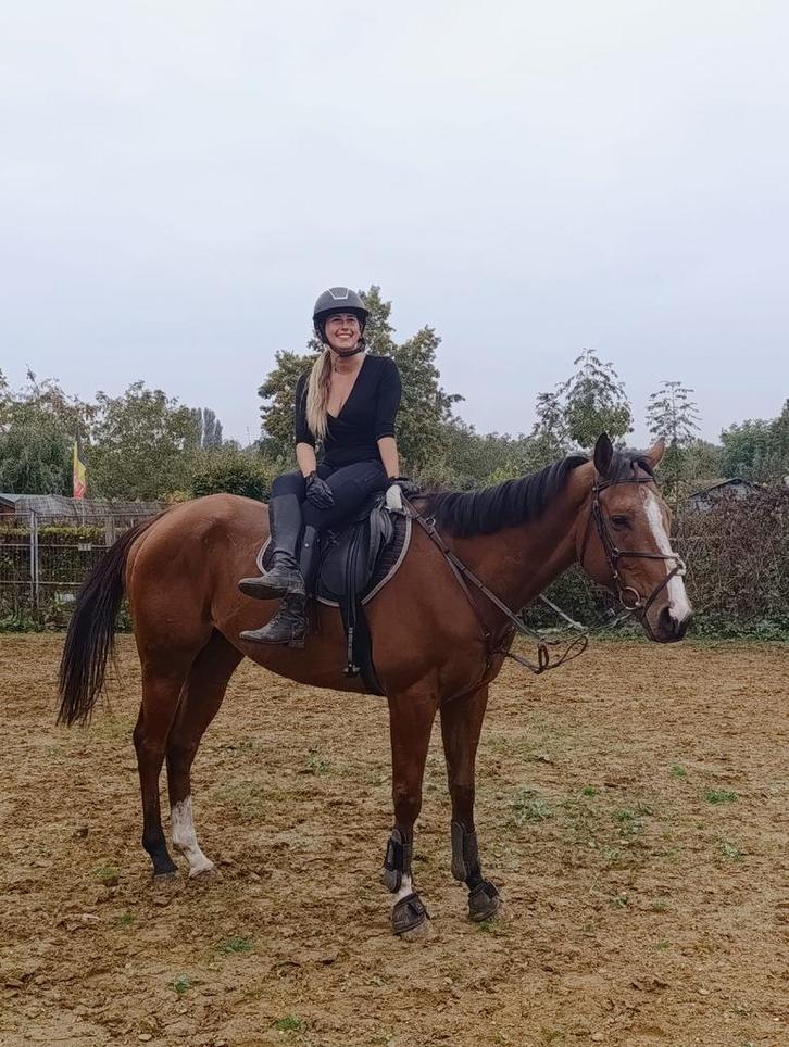 Zeer braaf recreatie wandelpaard, Dieren en Toebehoren, Paarden, Ruin