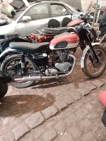 Triumph 1954 beschikbaar voor biedingen