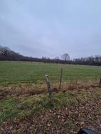 2 ha wei land te Houthalen Oost, Dieren en Toebehoren