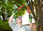 Tuin onderhoud werken