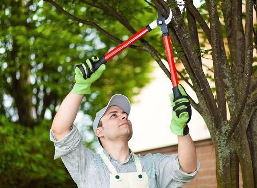 Tuin onderhoud werken, Vacatures, Vacatures | Schoonmaak en Facilitaire diensten