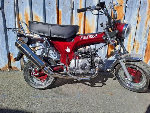 Zhenhua Dax Projects | Meerdere varianten | A of B-Klasse, Fietsen en Brommers, Brommers | Honda, Nieuw, Overige modellen, Ophalen