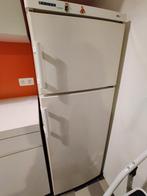 Koelkast met vriezer, Ophalen, Gebruikt, Met aparte vriezer, 140 tot 160 cm