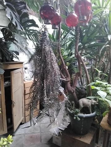 Kerstversiering: Tros pinkelende varens (lengte 100 cm) beschikbaar voor biedingen