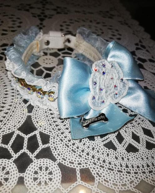 groot aanbod for pets only halsband d2, Dieren en Toebehoren, Hondenhalsbanden en Penningen, Gebruikt, Ophalen of Verzenden