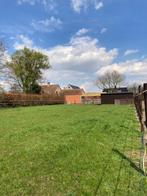 Weide met stal te huur, Weidegang, 1 paard of pony