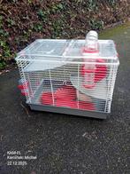 hamsterkooi, Dieren en Toebehoren, Ophalen, Hamster