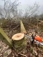 Bos,bomen,bouwgronden, Tuin en Terras, Brandhout, Ophalen, Stammen