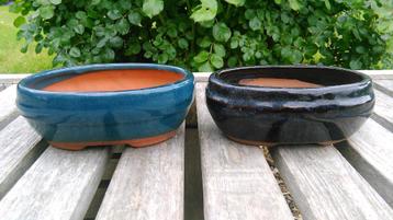Bonsai bloempotten blauw keramiek bolle wand beschikbaar voor biedingen