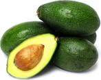 Avocado een heerlijke maar ook hele gezonde vrucht., Tuin en Terras, Planten | Tuinplanten, Vaste plant, Fruitplanten, Ophalen of Verzenden