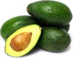 Avocado een heerlijke maar ook hele gezonde vrucht., Vaste plant, Fruitplanten, Ophalen of Verzenden, Lente