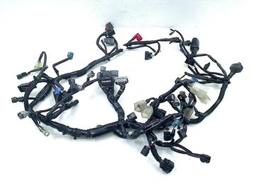 KABELBOOM Z 900 2020-2024 (Z900 ZR900) (26031-2844) beschikbaar voor biedingen