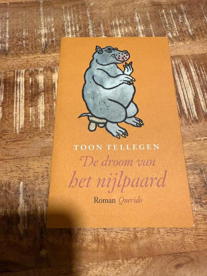 De droom van het nijlpaard - Toon Tellegen, Boeken, Romans, Zo goed als nieuw, Nederland, Ophalen of Verzenden