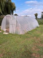 Serre 6 meter op 4 meter, Tuin en Terras, Kassen, Ophalen, Zo goed als nieuw