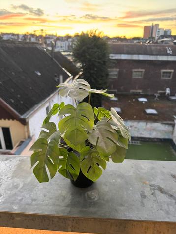 Kunstplant MONSTERA beschikbaar voor biedingen