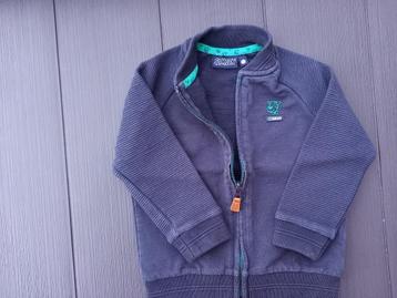 Nieuwstaat, gilet Samson maat 98, jongen (setje mogelijk), Gebruikt, Trui of Vest, Ophalen of Verzenden, JBC Samson