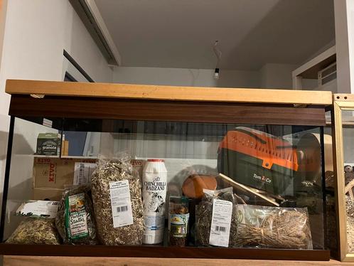 Hamster Terrarium + benodigheden, Dieren en Toebehoren, Knaagdieren en Konijnen | Hokken en Kooien, Zo goed als nieuw, Hamster