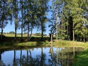 Terrain à vendre à Brognon disponible aux enchères