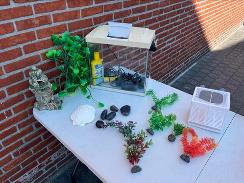 Aquarium 35L compleet + decoratie, Dieren en Toebehoren, Vissen | Aquaria en Toebehoren, Zo goed als nieuw, Ophalen