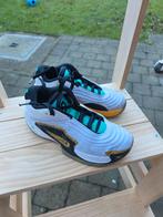 Basket schoenen jordan, Enlèvement