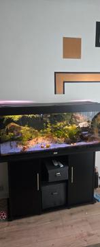 Aquarium Juwel 240L (alles in de foto inbegrepen), Dieren en Toebehoren, Ophalen