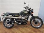 (Je cherche) Triumph Scrambler, Particulier