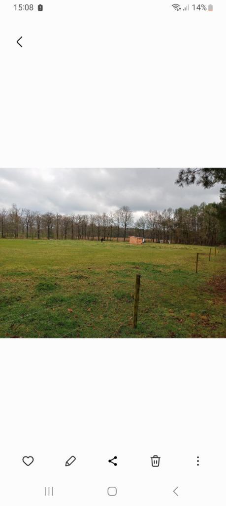 Weide te koop, Dieren en Toebehoren, Stalling en Weidegang, Weidegang, 2 of 3 paarden of pony's