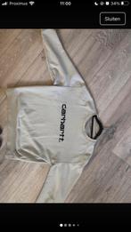 Carharrt sweater/trui maat S beige, Kleding | Heren, Truien en Vesten, Ophalen, Beige, Carhartt, Zo goed als nieuw