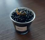 Alocasia black velvet gold variegata, Ophalen of Verzenden