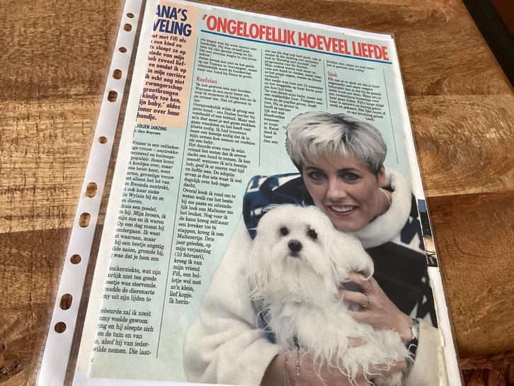 Knipsels DANA WINNER ✂️🗞️📰🎶, Verzamelen, Tijdschriften, Kranten en Knipsels, Knipsel(s), Ophalen of Verzenden