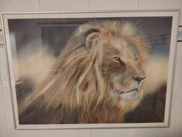 Airbrush leeuw beschikbaar voor biedingen