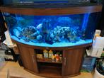 Aquarium Juwel 450 L plus meuble, Dieren en Toebehoren, Vissen | Aquaria en Toebehoren, Ophalen, Gebruikt, Leeg aquarium