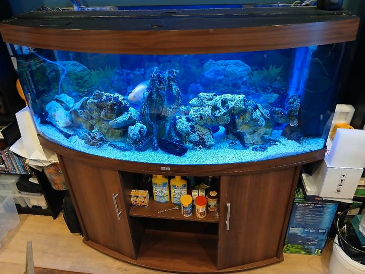 Aquarium Juwel 450 L plus meuble, Animaux & Accessoires, Poissons | Aquariums & Accessoires, Utilisé, Aquarium vide, Enlèvement
