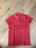 America Today polo rode-frambooskleur maat 170-176, Kinderen en Baby's, Kinderkleding | Maat 170, Ophalen of Verzenden, America Today