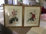 2 rosa art prints van Pierre Joseph Redoute, Ophalen of Verzenden