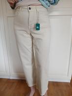 36 nieuw! JDY, Beige, Nieuw, Ophalen of Verzenden, Driekwart