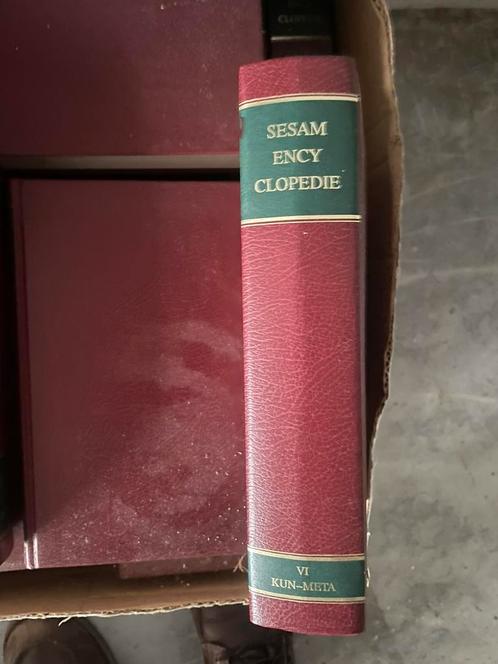 Encyclopedie Sesam heel goede staat, Boeken, Encyclopedieën, Zo goed als nieuw, Ophalen