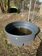 Bac d'eau, Enlèvement, Bétail