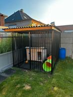 Hondenren + hok + eventueel dak, Dieren en Toebehoren, Ophalen, Gebruikt, Hondenhok