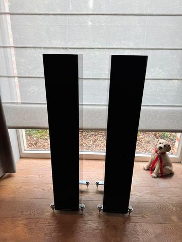 Acoustic Energy AE520  – zo goed als nieuw beschikbaar voor biedingen
