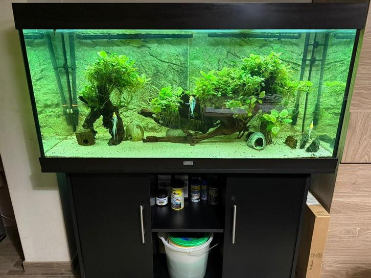 Prachtige juwel aquarium 350 liter volledig pakket!!!, Dieren en Toebehoren, Vissen | Aquaria en Toebehoren, Zo goed als nieuw