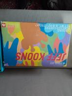 Collection d'art Lilly de Jeff Koons, Enlèvement