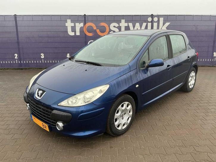 2006 - Peugeot - 307 - 1.6-16V XS - Personenauto, Auto's, Peugeot, Bedrijf, Overige brandstoffen, Euro 4, Stadsauto, Handgeschakeld