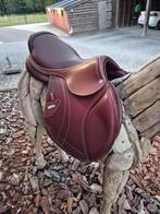 Cwd mademoiselle 17.5 inch 3c, Dieren en Toebehoren, Ophalen of Verzenden, Nieuw, Springen