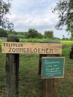 Zelfpluk zonnebloemen, Ophalen, Nieuw