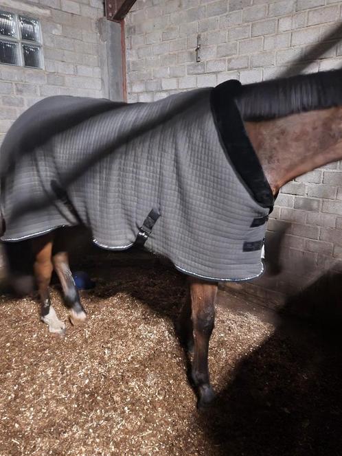 Staldeken van 300 gram te koop, Dieren en Toebehoren, Paarden en Pony's | Dekens en Dekjes, Zo goed als nieuw, Deken, Ophalen