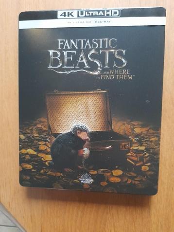 fantastic Beasts and where to find them 4K steelbook beschikbaar voor biedingen
